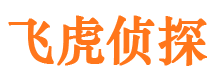 洛扎市调查公司